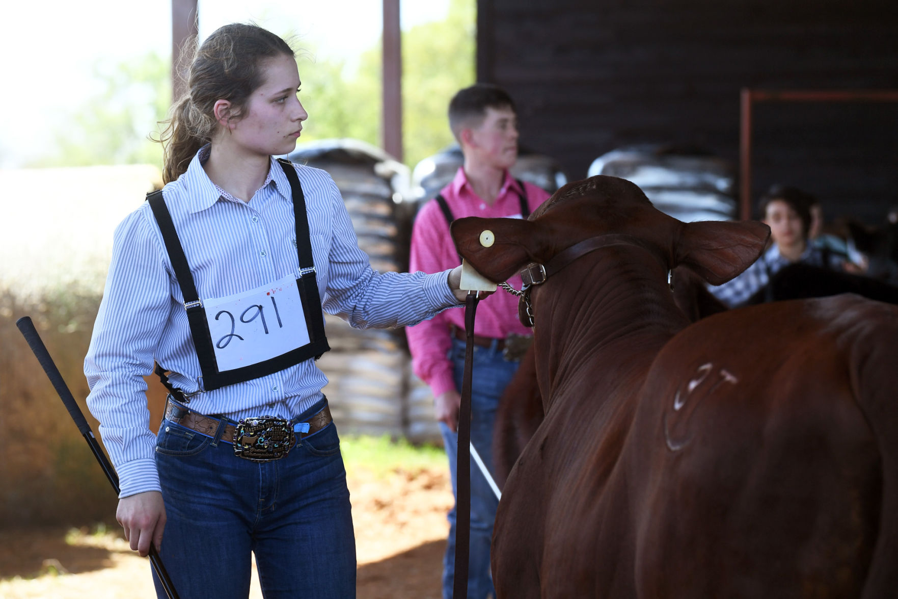 BTHO Coronavirus show